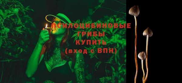 дурь Богородск