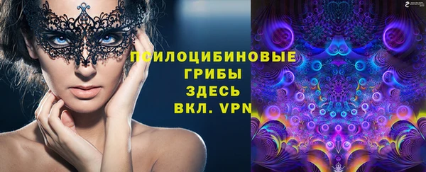 гидропоника Богородицк