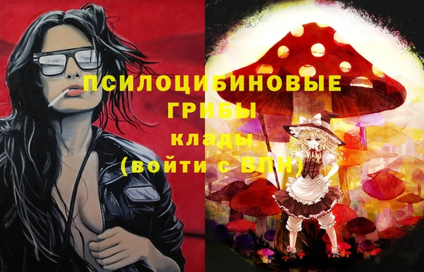 гидропоника Богородицк