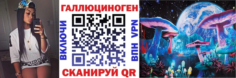Купить где  Куса  Псилоцибиновые грибы Cubensis 